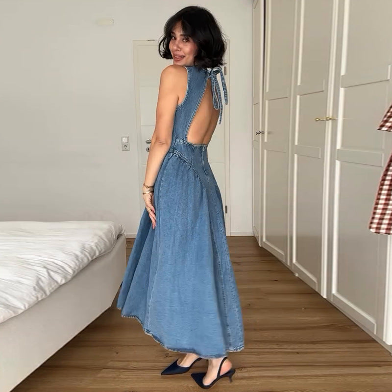 Skyline Blue Fit & Flare Midi Dress back view